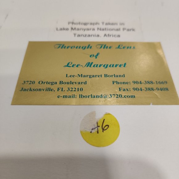 Hippopotamus Photography Lake Manyara National Park Tanzania Africa Lee-Margaret - Picture 11 of 15